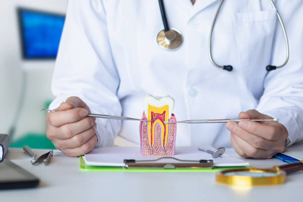 Best Holiday Emergency Dentist in Orion, IL